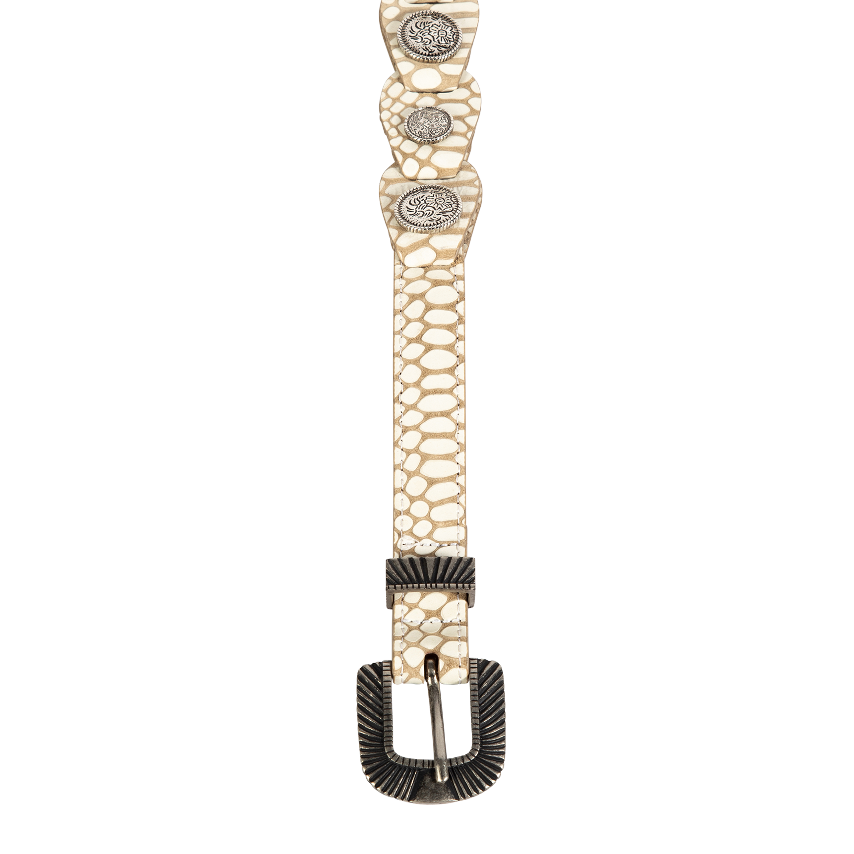 Coin white snake top view featuring full grain leather belt featuring rustic hardware and coin detailing on FREEBIRD full grain leather belt
