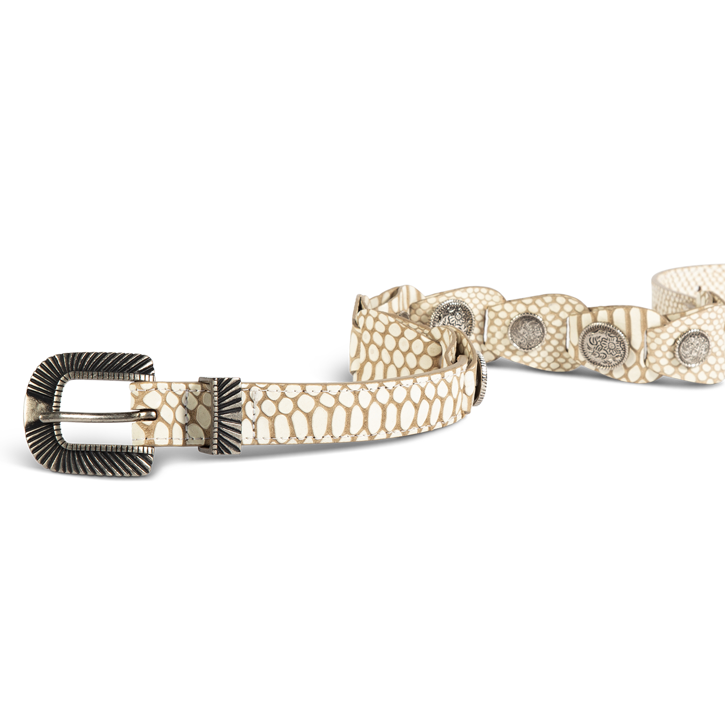 Coin white snake front view featuring full grain leather and rustic hardware and coin detailing on FREEBIRD full grain leather belt