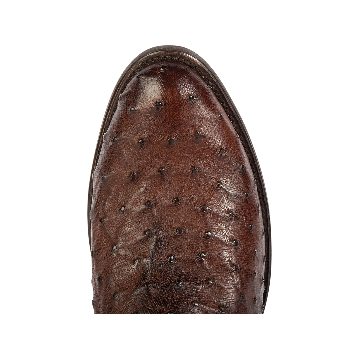 Top view showing traditional toe on FREEBIRD men's Desperado black mid calf boot