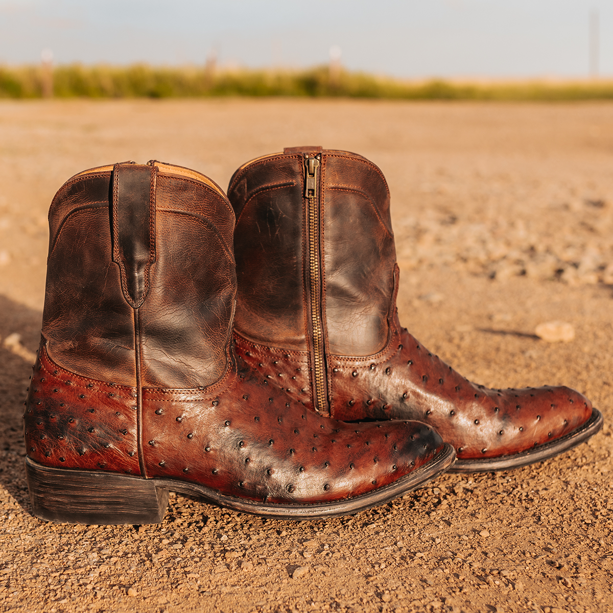 FREEBIRD men's Desperado brown single exterior pull strap and inside zip closure low heeled mid calf boot
