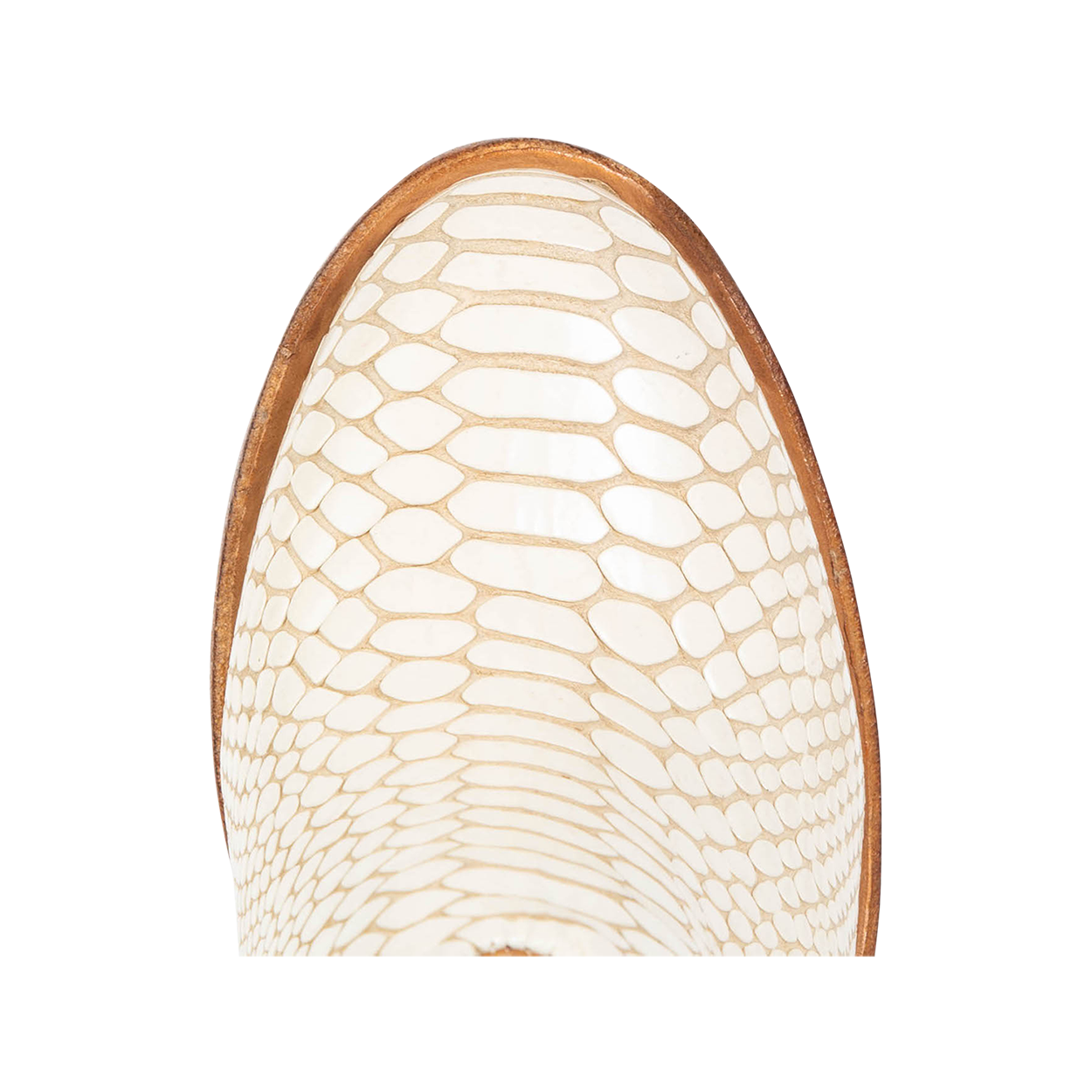 Top view showing round toe on FREEBIRD women's Detroit white snake bootie