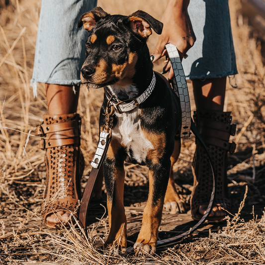 Dog Leash - White Croco