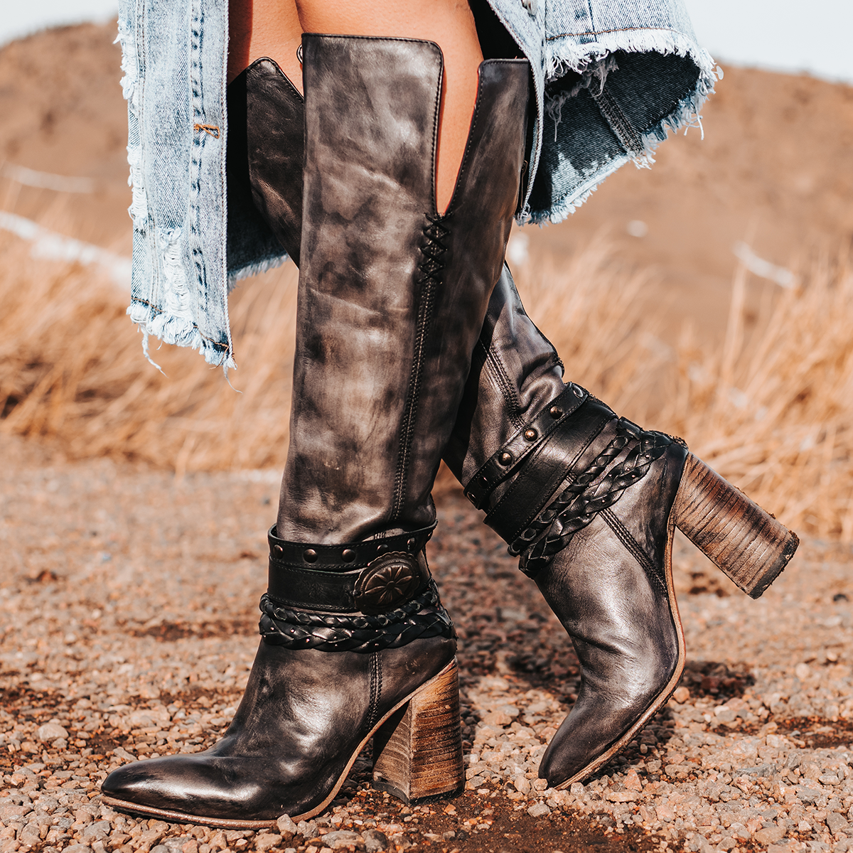 FREEBIRD women's Juniper black heeled boot featuring a pointed toe, back zip closure, and braided and studded ankle straps