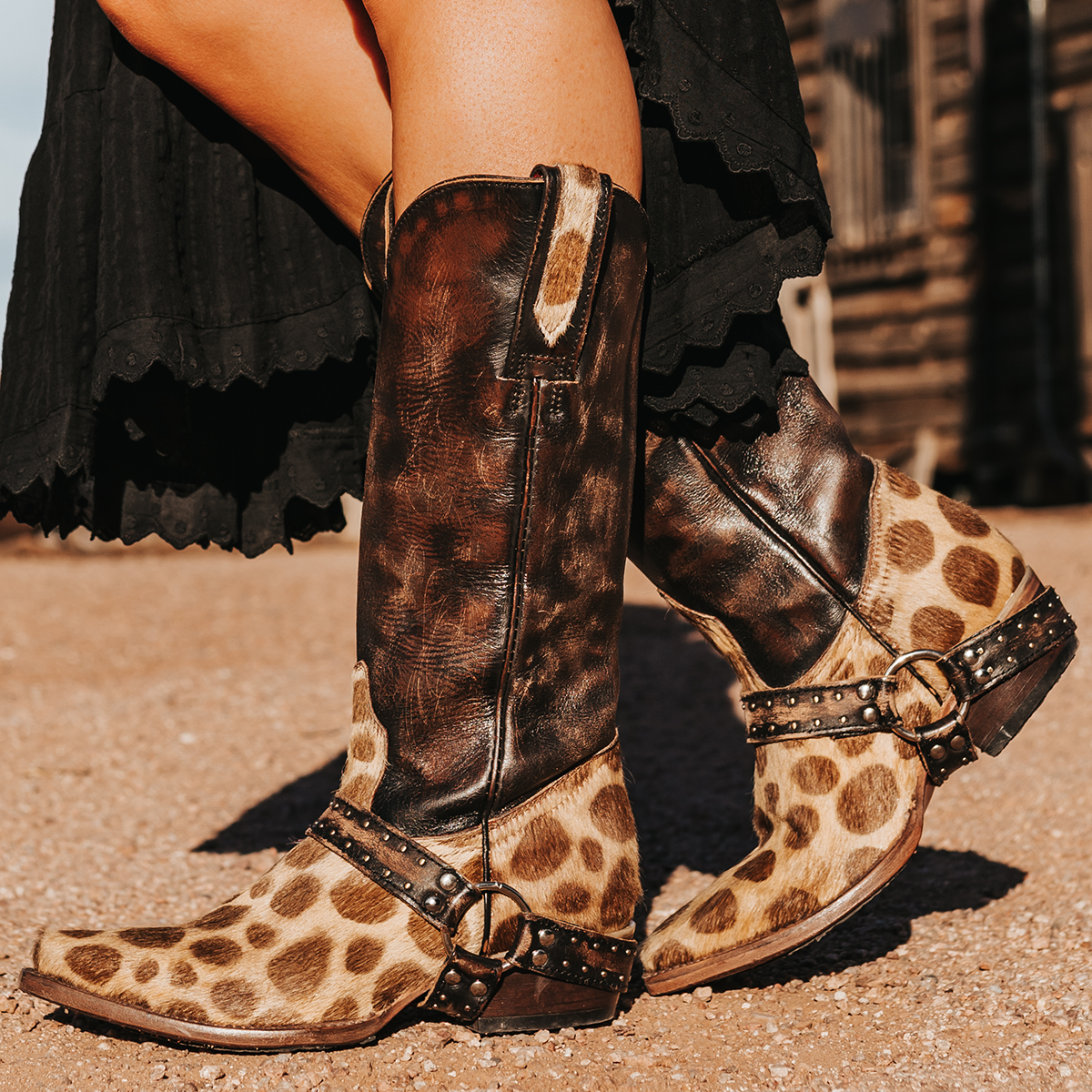 FREEBIRD women's Lusitano leopard western boot with embellished harness and snip toe