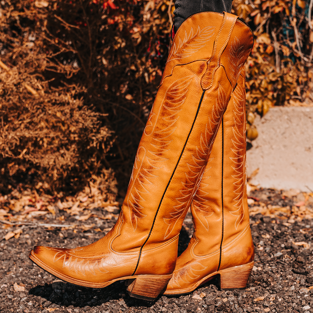 FREEBIRD women's Misty wheat leather tall boot with western stitch detailing and traditional snip toe construction