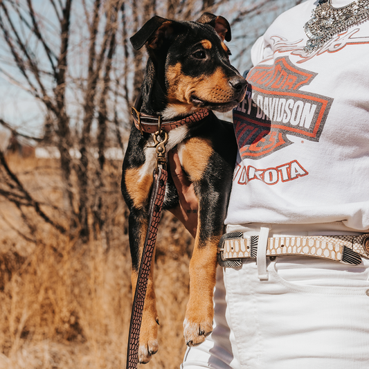 Dog Collar - Pink Croco