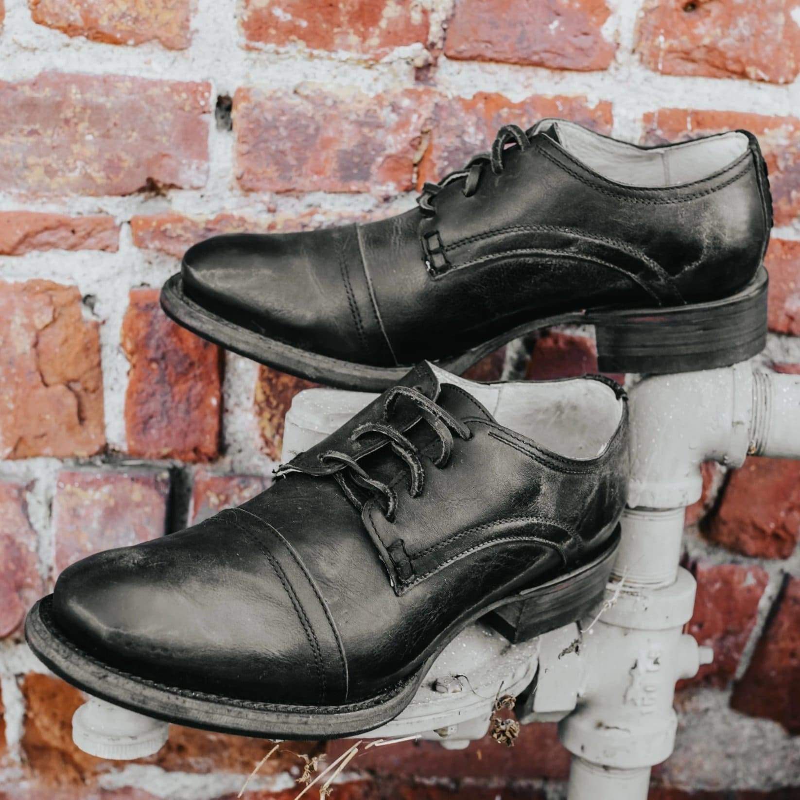 FREEBIRD men's Finn black lace up oxford shoe with an almond toe 